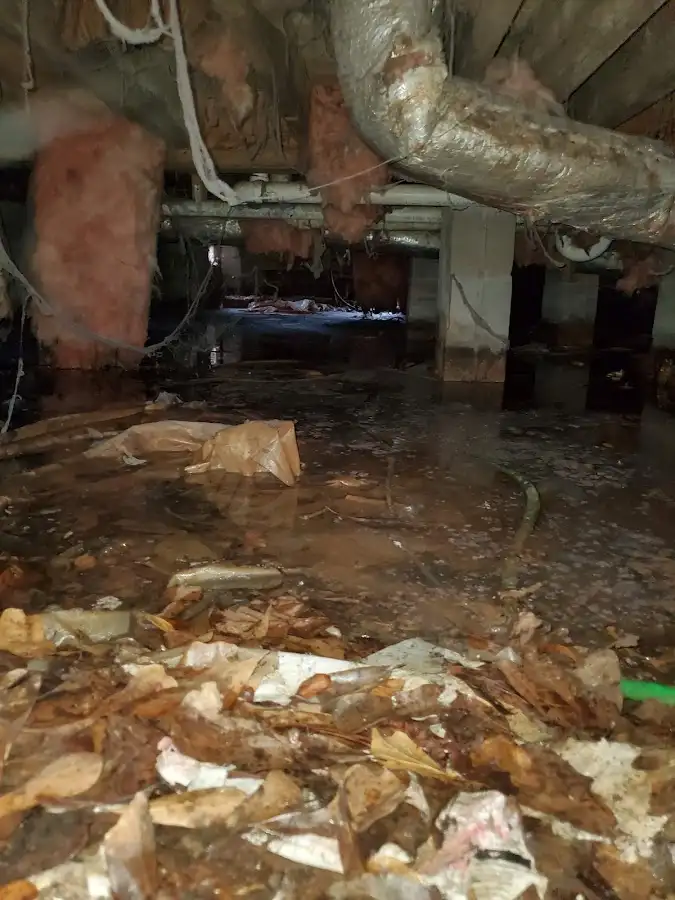 Crawl space flood assessment for Commercial Water Damage Restoration in Macon-Bibb County